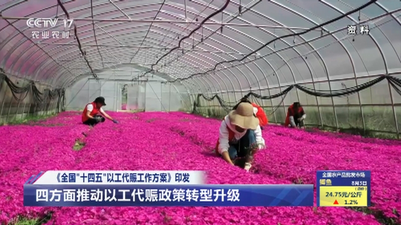 [中国三农报道]《全国“十四五”以工代振工作方案》印发 四方面推动以工代赈政策转型升级_CCTV节目官网-CCTV17_央视网(cctv.com)