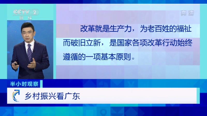 [经济半小时]乡村振兴看广东_CCTV节目官网-CCTV-2_央视网(cctv.com)