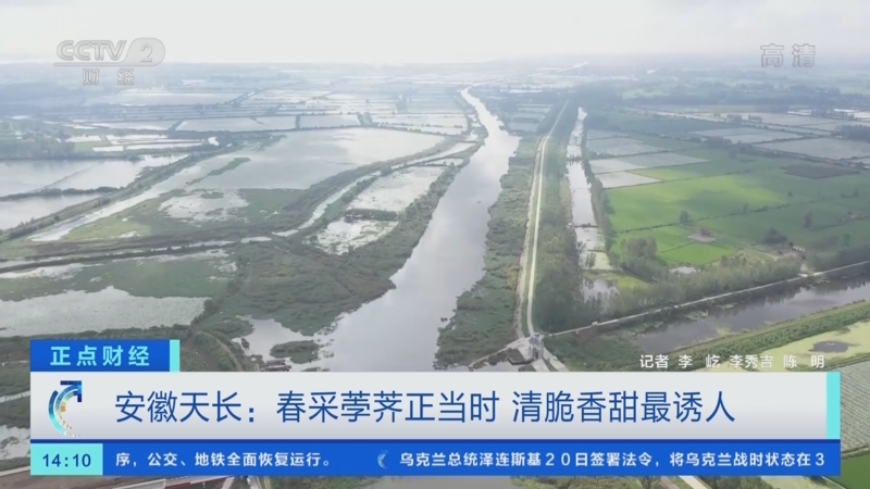 [正点财经]安徽天长：春采荸荠正当时 清脆香甜最诱人_CCTV节目官网-CCTV-2_央视网(cctv.com)