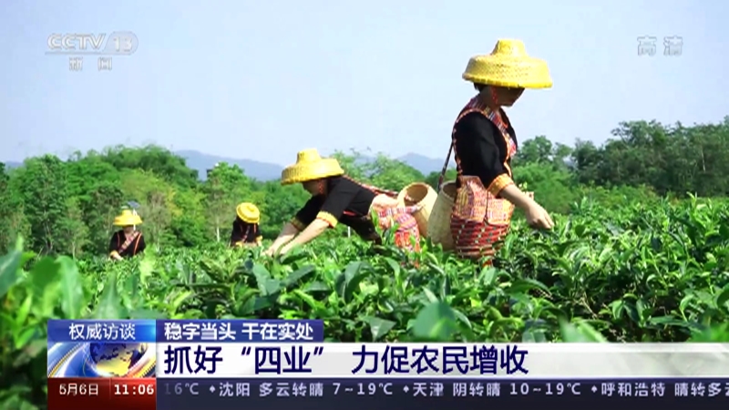 [新闻直播间]权威访谈 稳字当头 干在实处 抓好“四业” 力促农民增收_CCTV节目官网-CCTV-13_央视网(cctv.com)