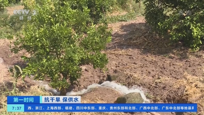 [第一时间]抗干旱 保供水 专家解读：长江流域旱情达到轻度以上干旱标准_CCTV节目官网-CCTV-2_央视网(cctv.com)