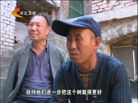 河北新闻联播_新闻