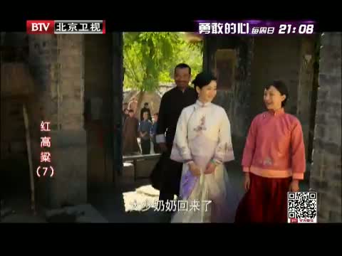 红高粱_电视剧_央视网(cctv.com)