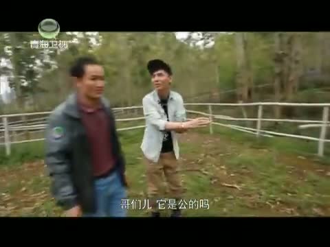 《时尚旅游》 20150210 天才动物园