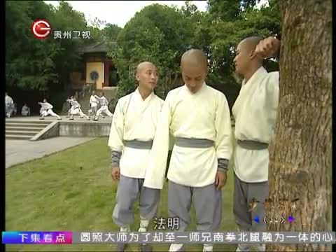 少林武王第22集大结局精彩看点