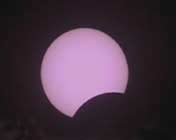 �Ĵ��㰲��ȫʳ���ʻ���