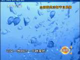 [�����ӽ�]ȫ���񽱷��ƽ�Ŀչ��������������ɱ��(2010.02.08)