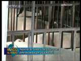 MUNDO AL MINUTO 2009-11-06 13：00