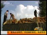 [�۽���ũ]Χ�ˡ���������(2009.11.5)