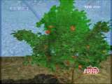 [�Ƽ�Է]ĥ�����ӵĸ߲���(2009.10.22)
