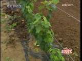 [�Ƽ�Է]�Ƽ���ũ�����(2)��¹ԭ�Ĺھ�����(2009.11.17)