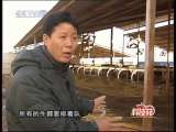 [�Ƽ�Է]ţ����ţ�ʻ�(2010.1.22)