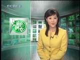 ��ɫʱ�� 2010-04-04