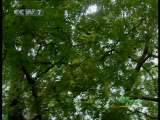 ��ɫʱ�� 2010-05-23