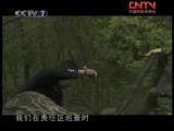 ��ɫʱ�� 2010-06-13