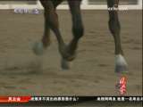 <a href=http://sports.cctv.com/20091024/103555.shtml?column=C24803 target=_blank>[ȫ�˷��ƻ�]�����ȡ�������������ط�</a>