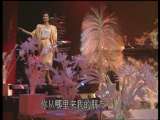 1988年春晚_音乐《思念》表演：毛阿敏