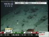 深海普查發現17000多種新生物