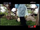破译大熊猫生命密码的张志和_CCTV节目官网-CCTV-10_央视网(cctv.com)