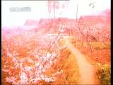 《九妹》 演唱： 黄鹤翔-1