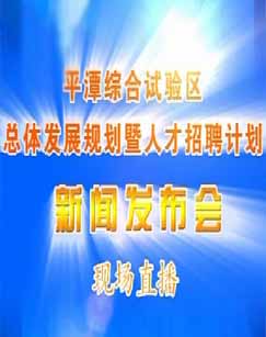 ƽ̶�ۺ����������巢չ�滮���˲���Ƹ�ƻ����ŷ�����