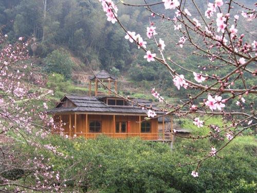 赣州景区:崇义县阳岭