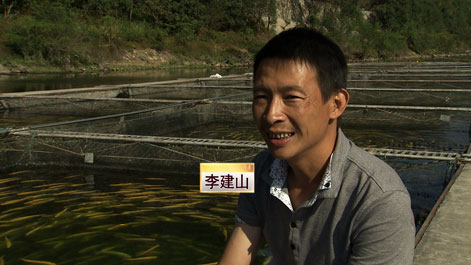 致富经 cctv7 cctv 栏目官网 农业栏目 致富项目 致富故事 致富案例 创业