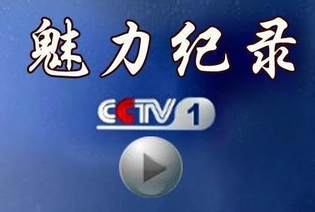 大型文献纪录片《科学发展铸辉煌》通过全面回顾和生动展示党的十六大以来,以胡锦涛同志为总书记的党中央团结带领全国各族人民,高举中国特色社会主义伟大旗帜,以邓小平理论、三个代表重要思想为指导,不断推进理论创新和实践创新,提出和深入贯彻落实科学发展观,取得的辉煌成就、成功经验,引导和激励人们进一步增强坚持中国特色社会主义道路、理论体系和制度的自觉性坚定性,继续解放思想,坚持改革开放,推动科学发展,促进社会和谐,为全面建成小康社会而奋斗。 该片共分7集。各集分领域分别反映党的十六大以来,我们党带领人民在理论建设
