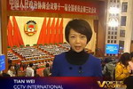 田薇图集