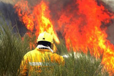 <br><strong><p>Since late July, strong winds and a heatwave have whipped up devastating fires, mostly in forested areas of Portugal&acute;s north and central regions, sparing residents&acute; homes.</p></strong>