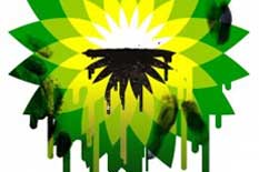 <br><strong><p> BP is taking steps to improve its impression left in the minds of US politicians and public alike, following its handling of the Gulf oil spill.</p></strong>