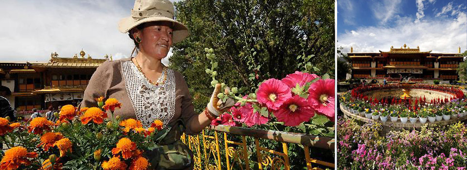 Beautified by flowers ahead of Shoton Festival 