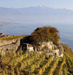 <b>Lavaux Vineyard Terraces, Switzerland</b>
