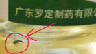 广东定罗制药止咳糖浆糖浆里喝出昆虫