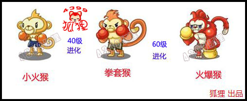 洛克王国小火猴在哪里怎么抓?怎么获得小火猴