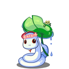小荷