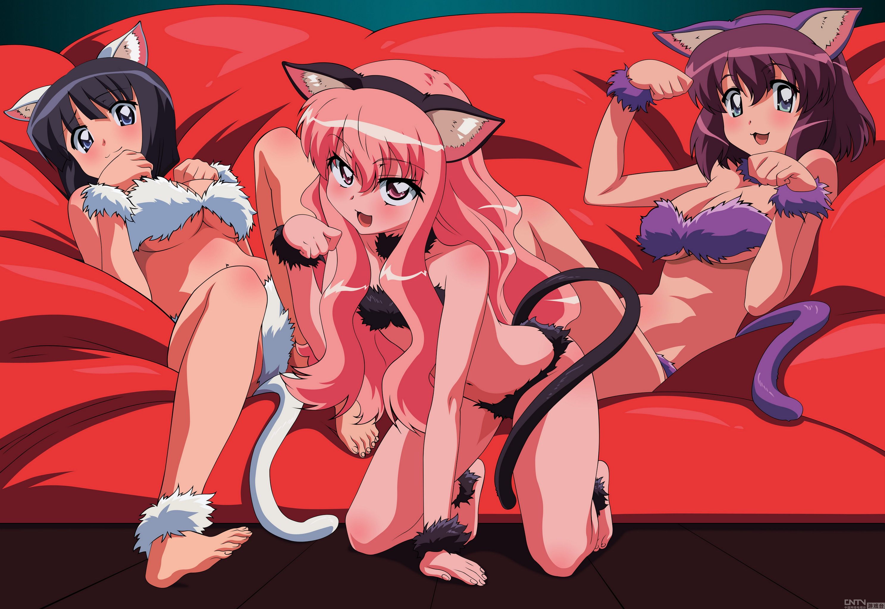 《零之使魔》性感美女漫画欣赏系列_<em>动漫</em>天下