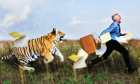 端游公司醒了:手游圈来了几只老虎_产业资讯_