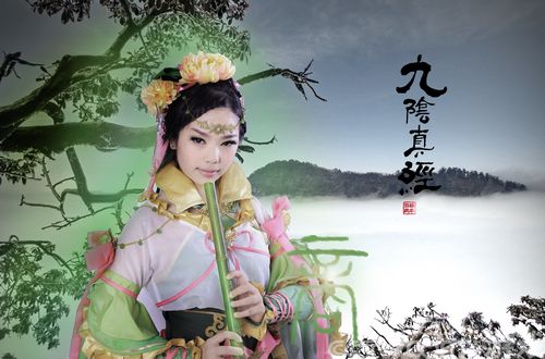 长萧低奏 九阴真经桃花岛COS赏析_厂商新闻_