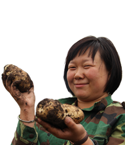 内蒙古大学生村官张苹_我的青春我的村