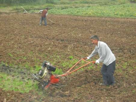 大樱桃种植-技术联播-7+农业