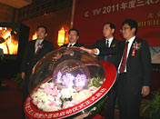 CCTV2011�����ũ�����ƽ���ʽ����