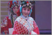 ���硶���ѡ�� ������