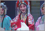 ���硶�����ҡ�ѡ�� ���