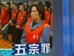 示例圖片