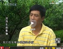 [新闻调查]沈浩:小岗村记忆