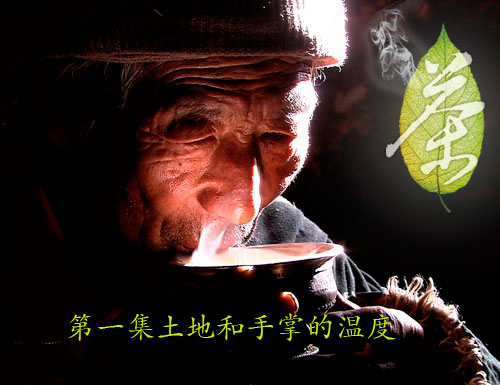 央视纪录频道纪录片茶,一片树叶的故事官网