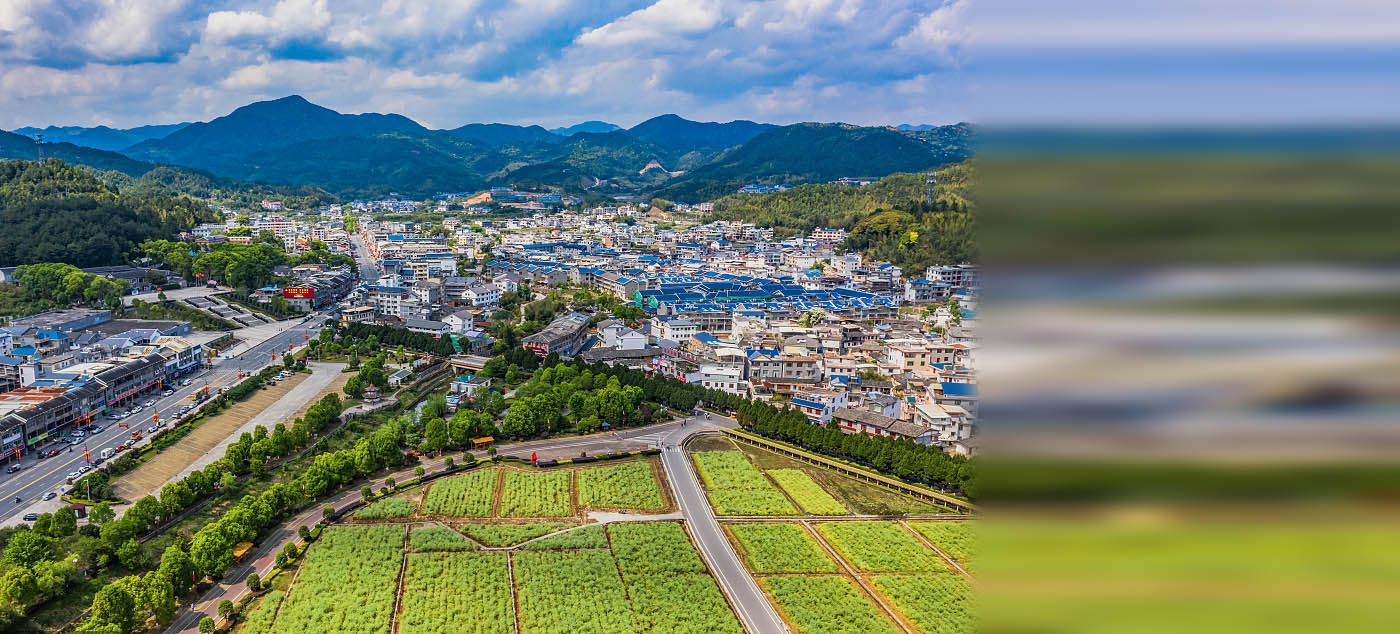 央视网_世界就在眼前