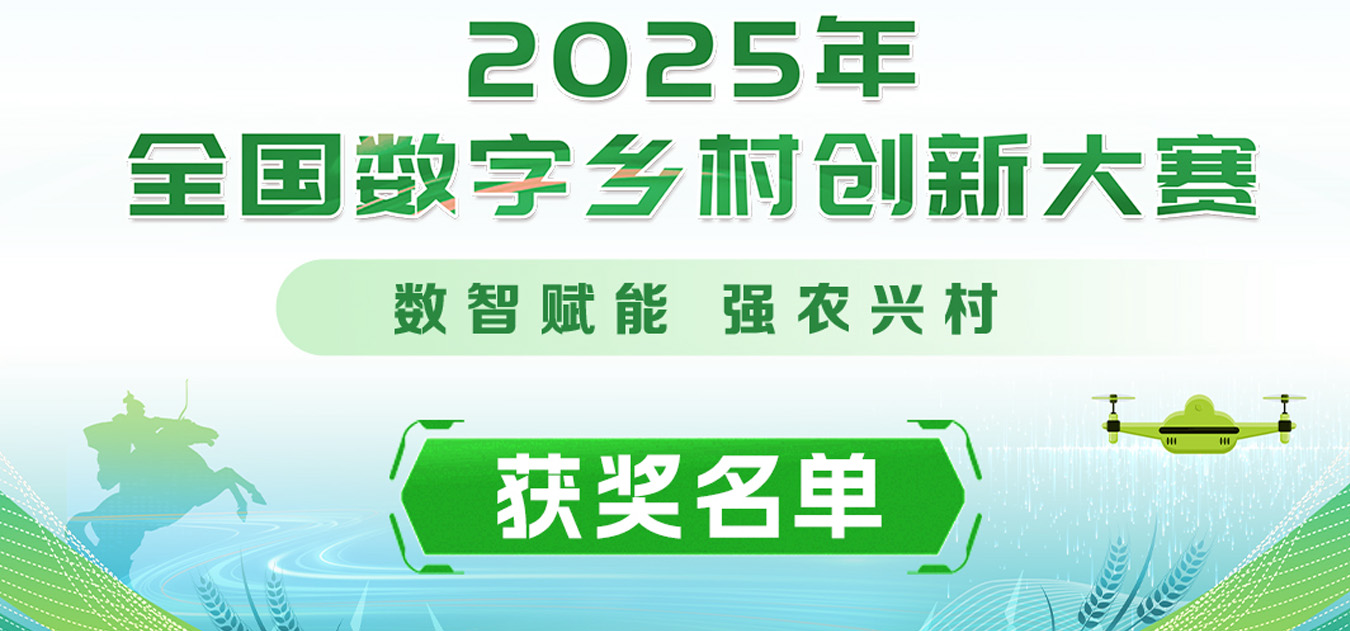 2025年全国数字乡村创新大赛获奖公示长图
