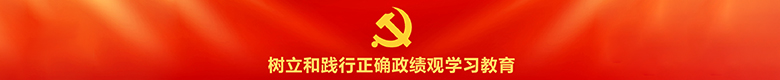 树立和践行正确政绩观学习教育